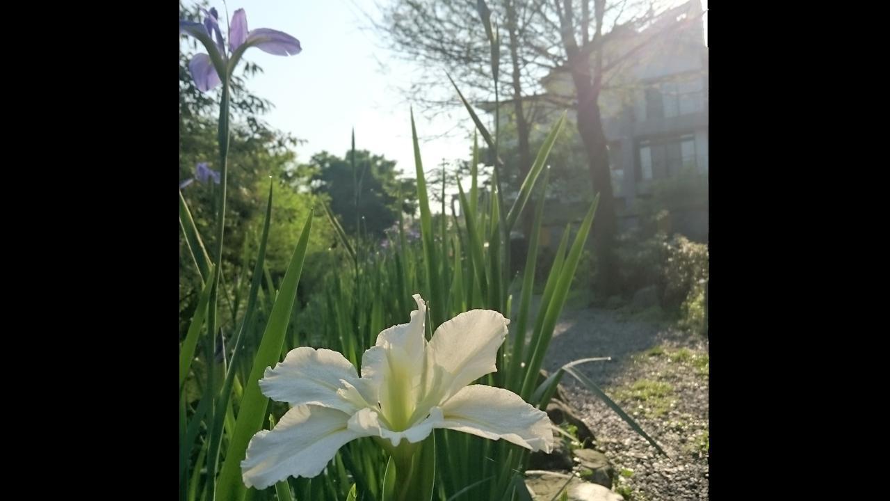 Stone House Homestay Yilan Exteriör bild